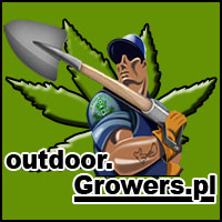 blog growers o uprawie i hodowli marihuany na outdoor